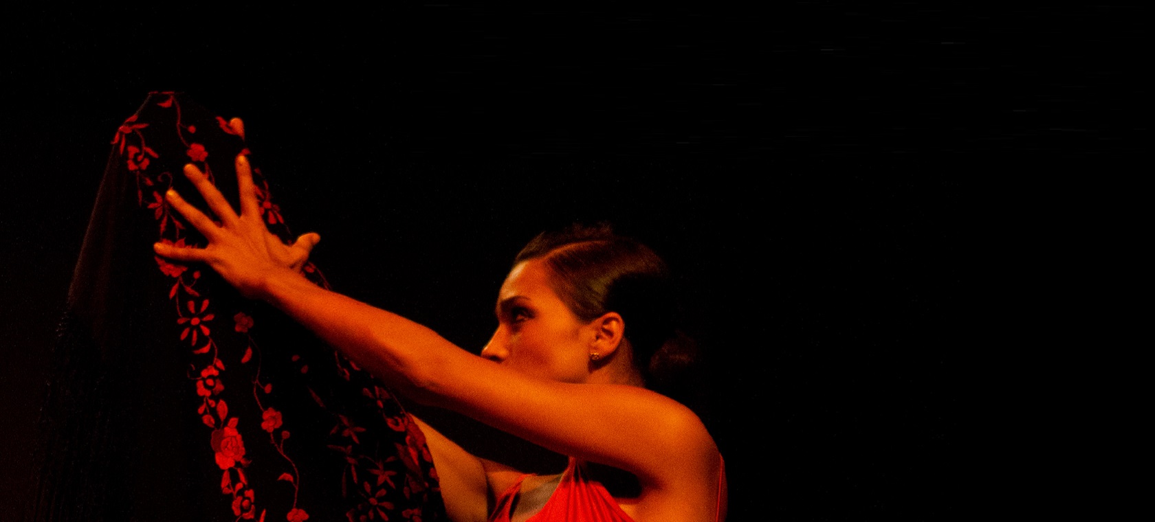 /barcelona/classificaties/nightlife/tapas-flamenco-tour/Flam BIG-1510929709.jpg Tapas & Flamenco Tour